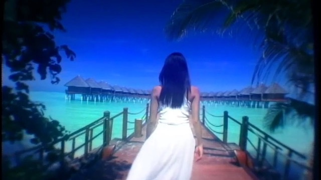 テーブルランドTVCMモルジブロケ撮影コーディネート