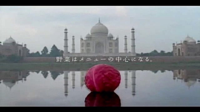 キユーピーマヨネーズTVCMインドタージマハールロケ撮影コーディネート