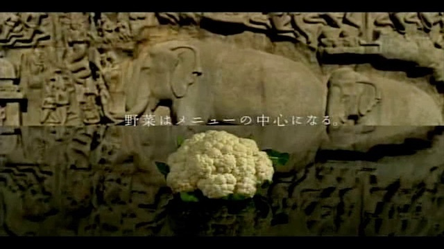 キユーピーマヨネーズ TVCMインドマハーバリプラムロケ撮影コーディネート