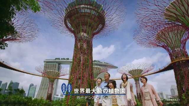 HISTVCMシンガポールロケ撮影コーディネート