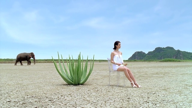 森永アロエベラタイ撮影コーディネート